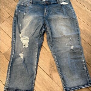 Lane Bryant Boyfriend Capri